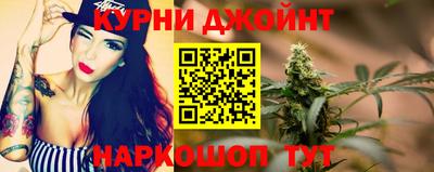крисы Будённовск