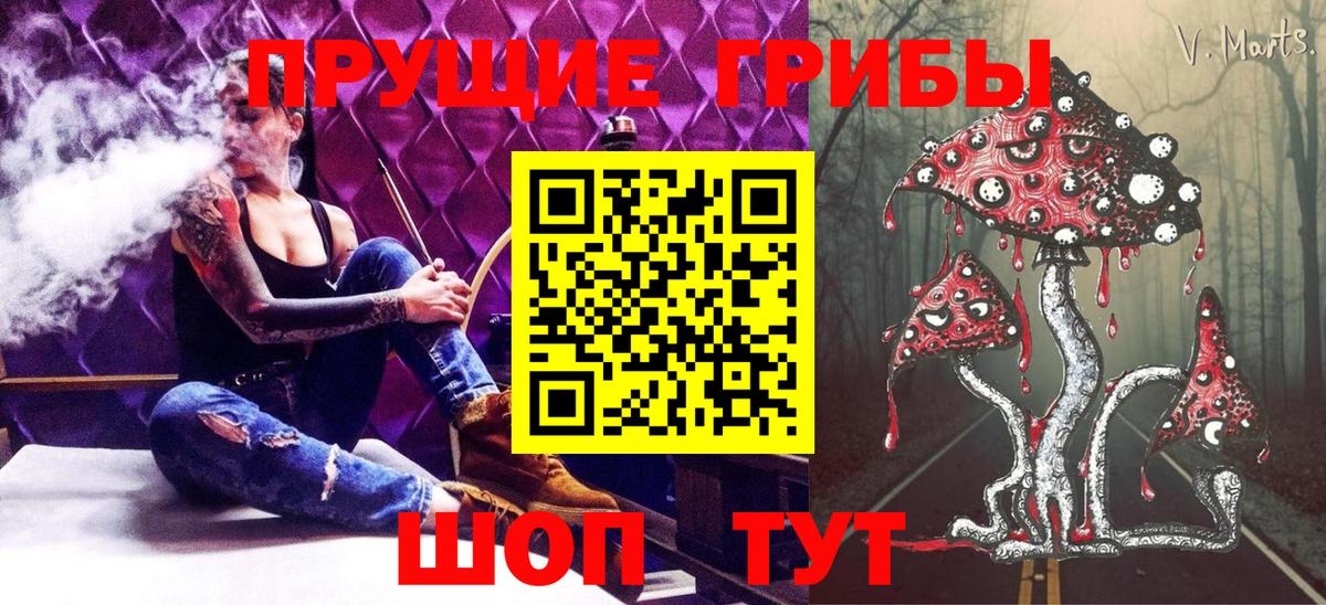 Новодвинск  Галлюциногенные грибы GOLDEN TEACHER  Вход с VPN 
