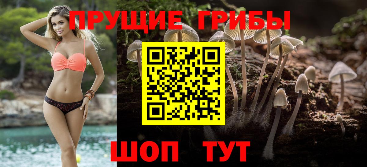 Галлюциногенные грибы MAGIC MUSHROOMS Новодвинск